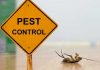 Why Pest Control is Worth the Investment
